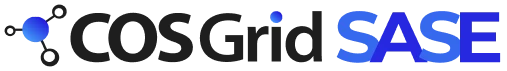 SASE- Secure Access Service Edge